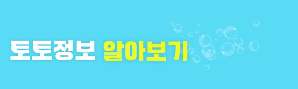 토토정보 알아보기